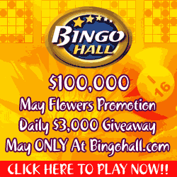 Online Bingo Hall
