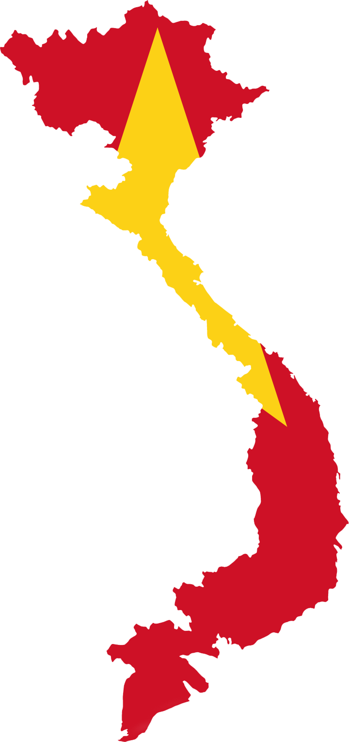 Veitnamese flag