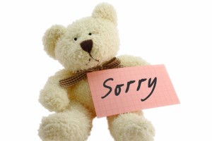 bear sorry-bea_1229953409765