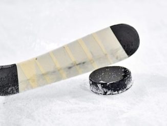 Ottawa Senators at Nashville Predators Betting Preview