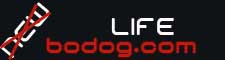 BodogLife Online Poker
