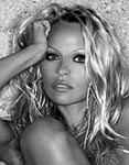 Pamela Anderson Pays Poker Debt with Sex