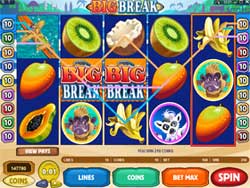 Big Break Video Slot